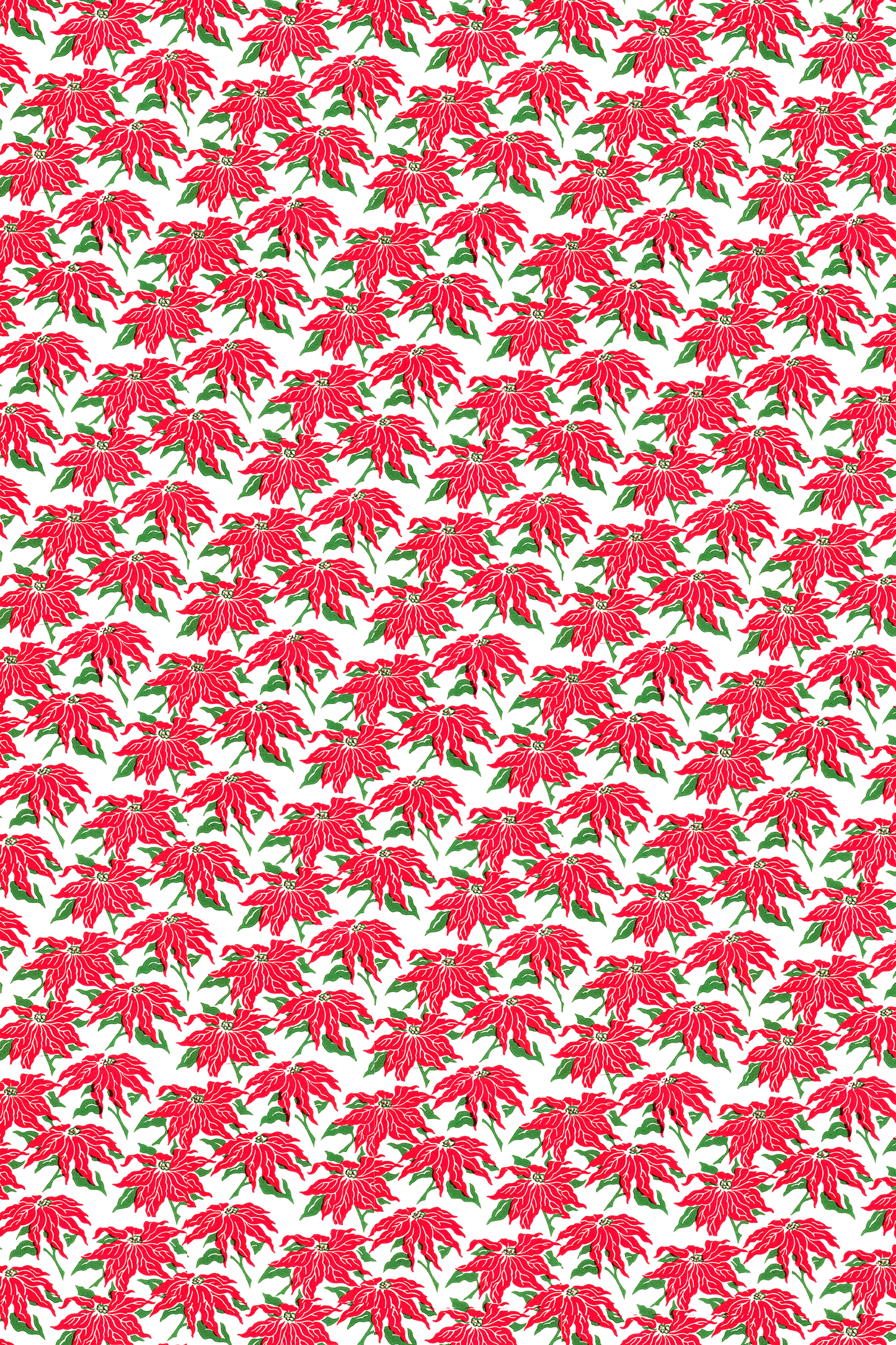Slithering Poinsettias