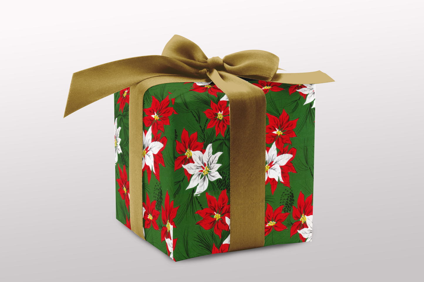 Bright Red Poinsettias