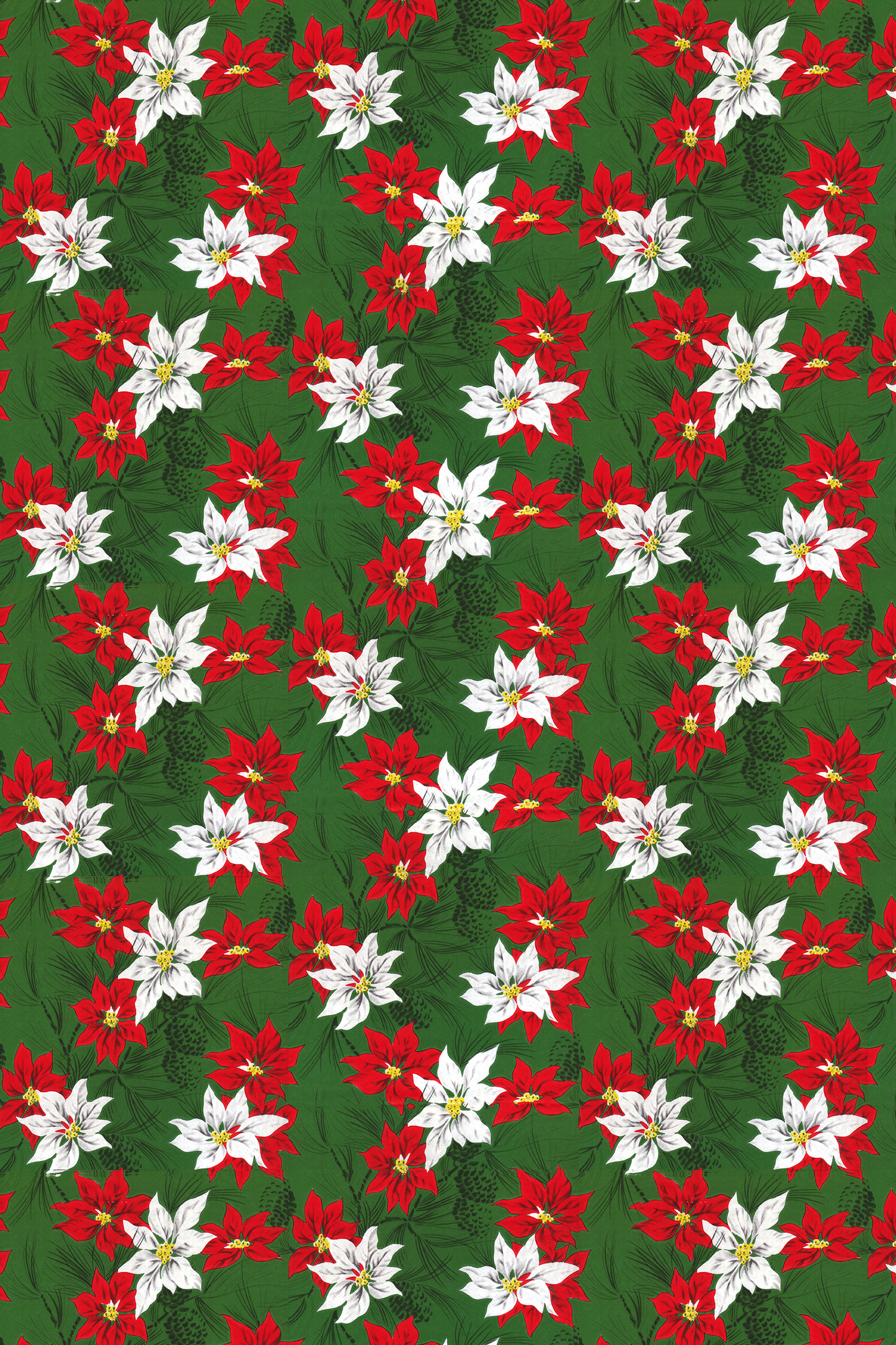 Bright Red Poinsettias