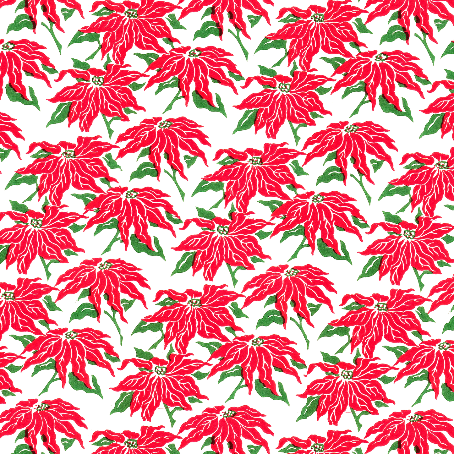 Slithering Poinsettias